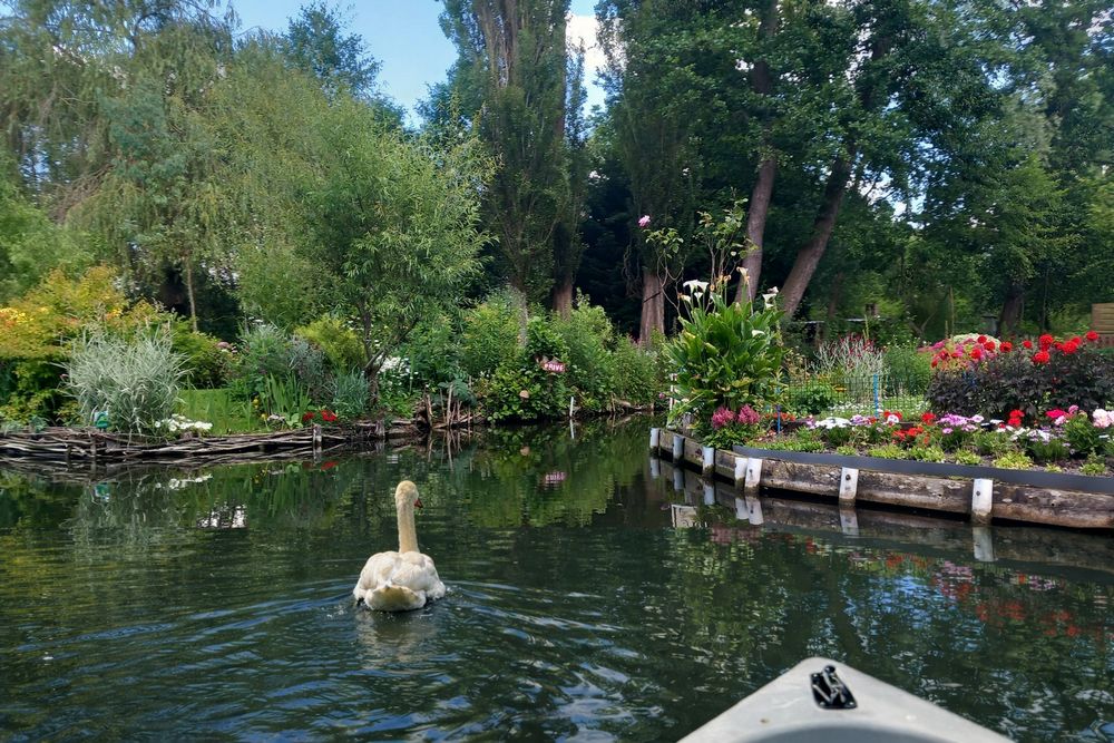 Balade en barque dans les Hortillonnages à Amiens